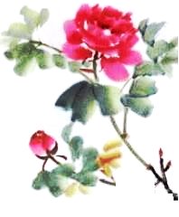 Le pivoine en peinture chinoise xieyi, étape 2