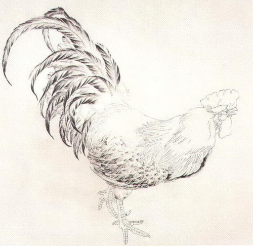 Le coq en peinture chinoise gongbi, étape 2