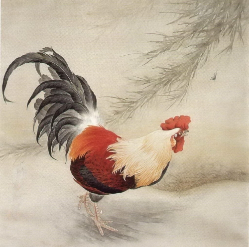 Le coq en peinture chinoise gongbi, étape 5