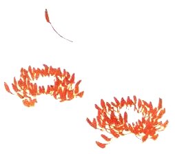 Le pivoine en peinture chinoise xieyi, le filet