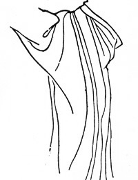 Technique du tracé en peinture chinoise baimiao : Mahuang = sangsue