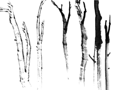 Peinture chinoise : le tronc des arbres