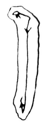 Calligraphie chinoise : les traits verticaux