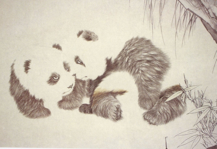 Çin Gongbi resim tekniğiyle panda, adım 1.