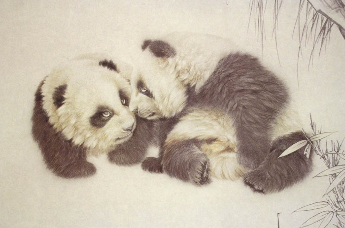 Çin Gongbi resim tekniğiyle panda, adım 3.