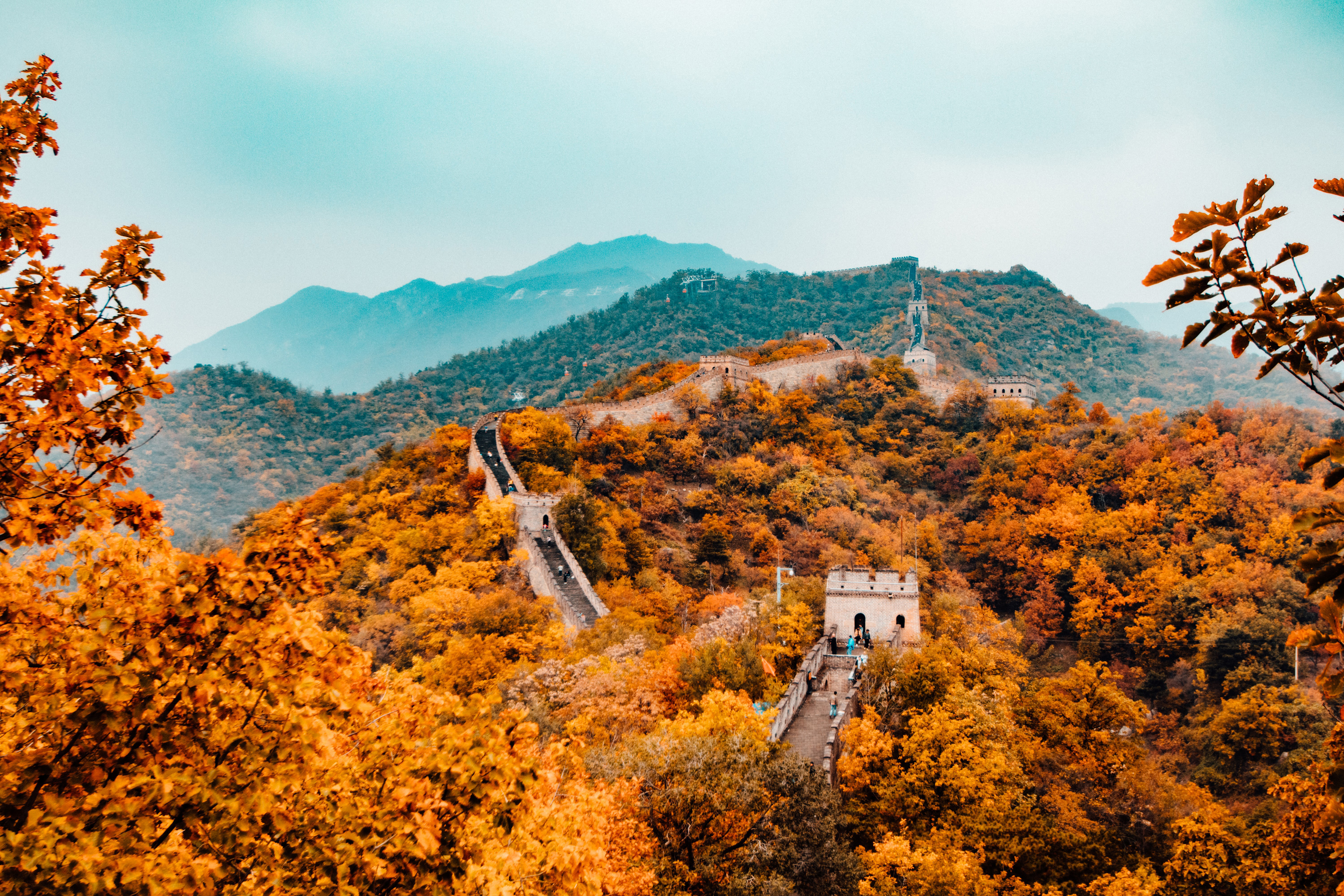 Un site pour découvrir l'incroyable culture chinoise !