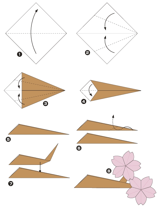 Diagramme de origami de fleurs de cerisier du Japon 2