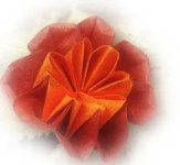 Origami d'oeillet