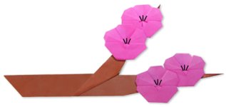 Origami de prunus - menu