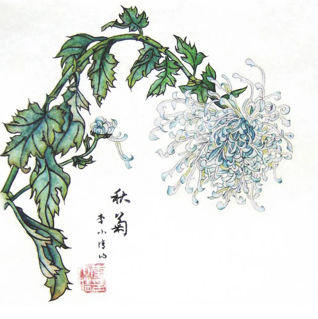 Chrysantheme bleu de Xiaoqian Li