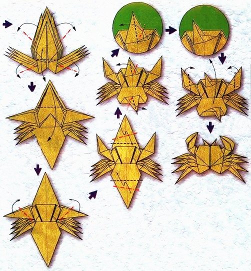 Origami du signe du zodiaque : le cancer